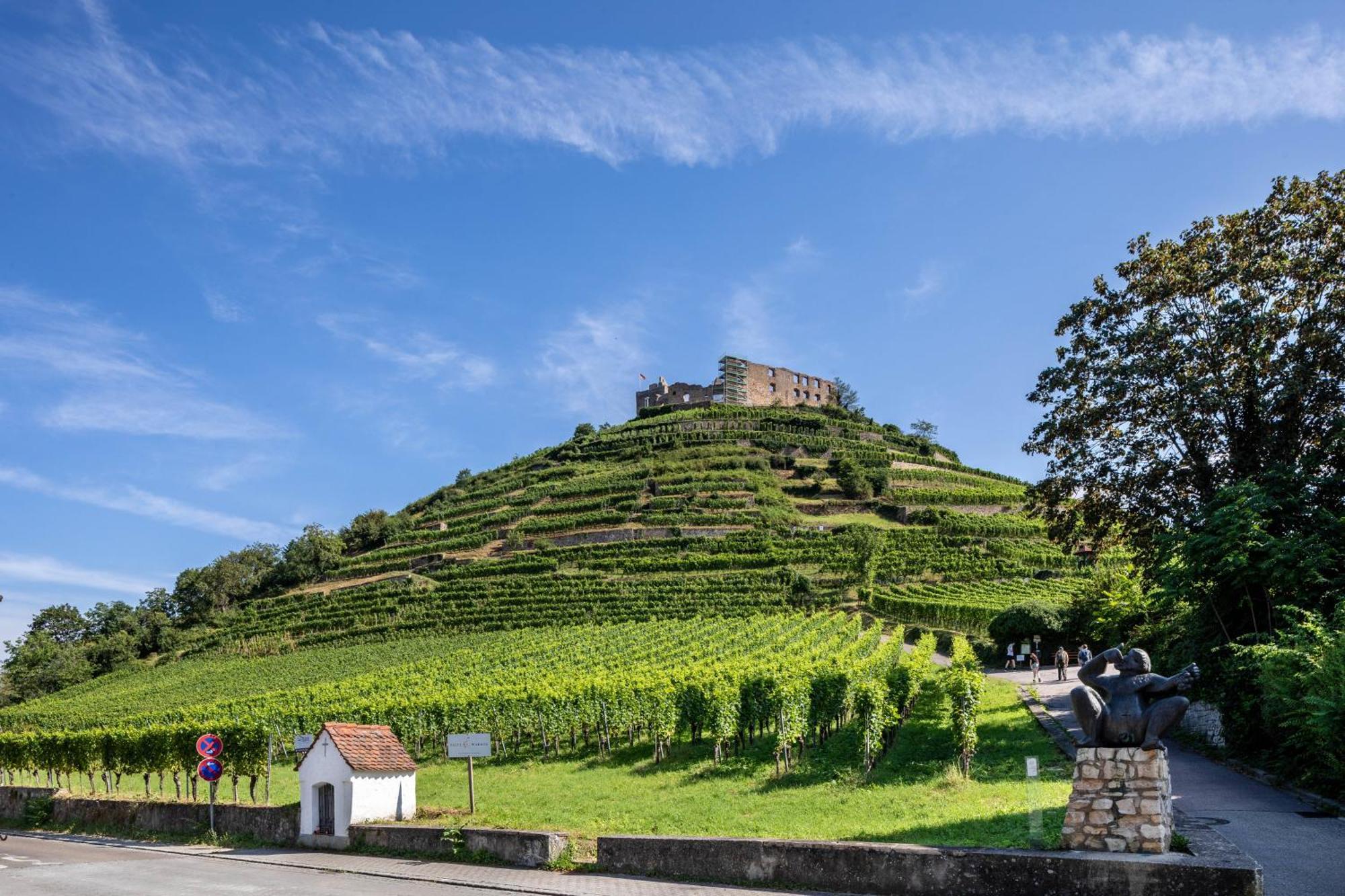 Ferienwohnung Am Neumagen Staufen im Breisgau Exterior foto